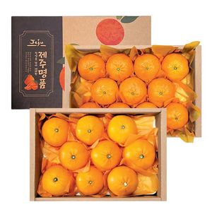제주 과일 2종 특선 (레드향 12과내외+천혜향 12과내외)