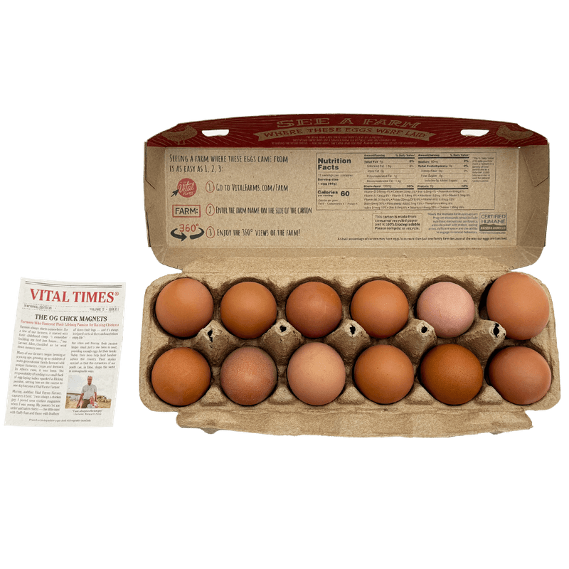 Pasture-Raised-Medium-Brown-Egg-12-Count