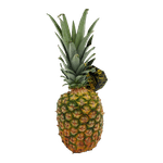 2867