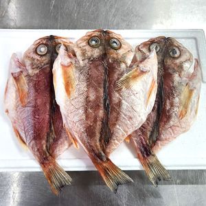 국산 반건조 열기(불볼락) 110g내외 6미 생선구이 반찬