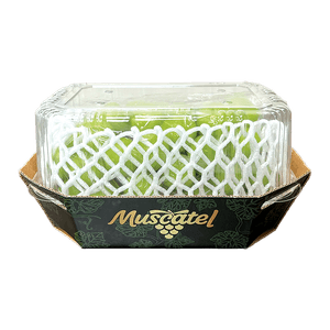 Green Shine Muscat 21.16 Oz (600g)