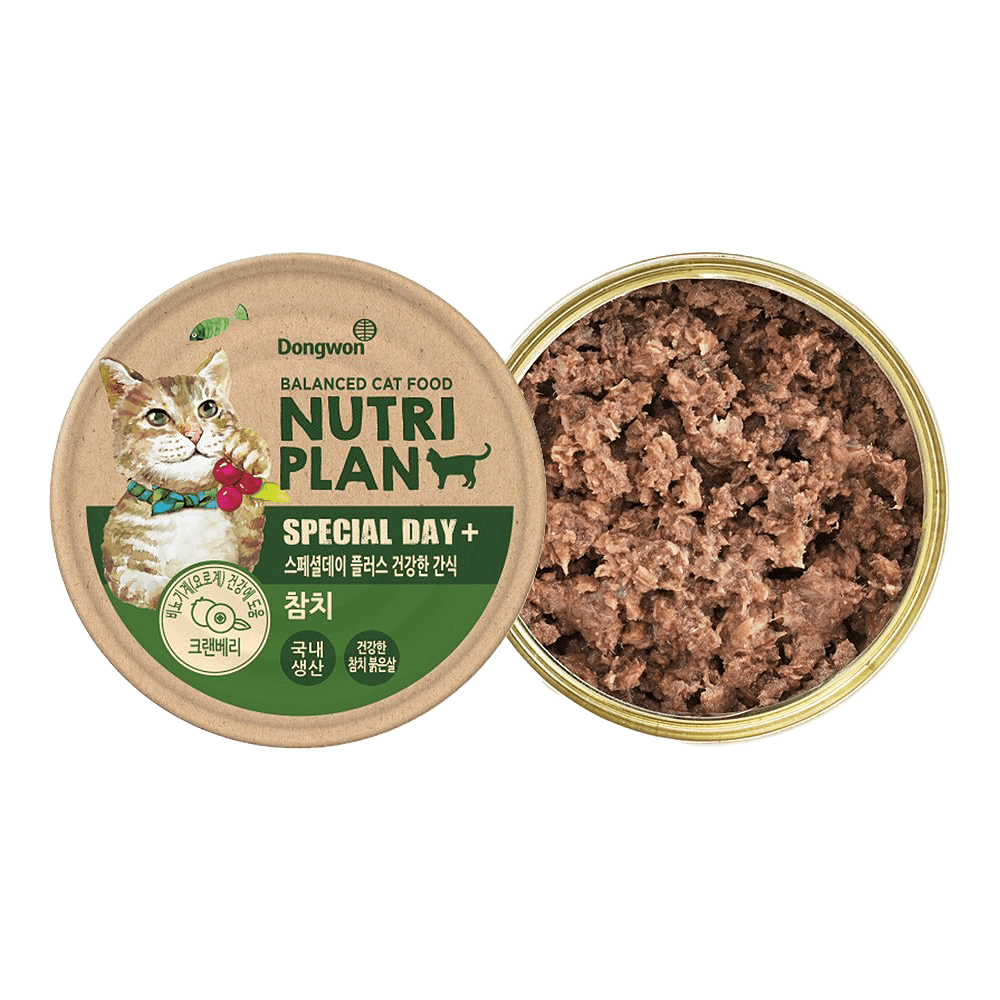 Nutriplan Special Day Plus Healthy Snack Wet Cat Food 3.17 Oz (90g)